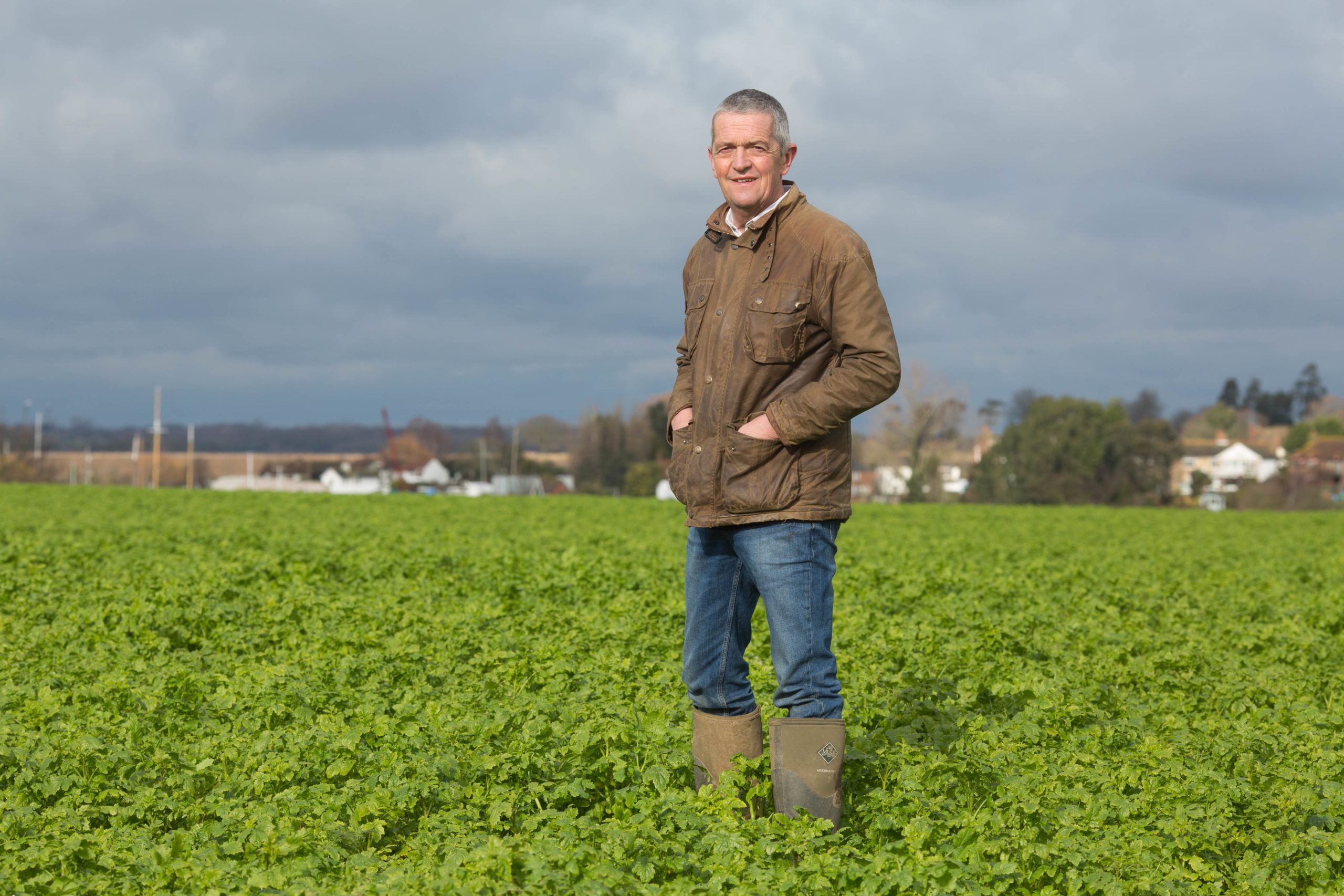 FORMER NFU DEPUTY PRESIDENT IS APPOINTED NEW RED TRACTOR CROPS SECTOR CHAIR