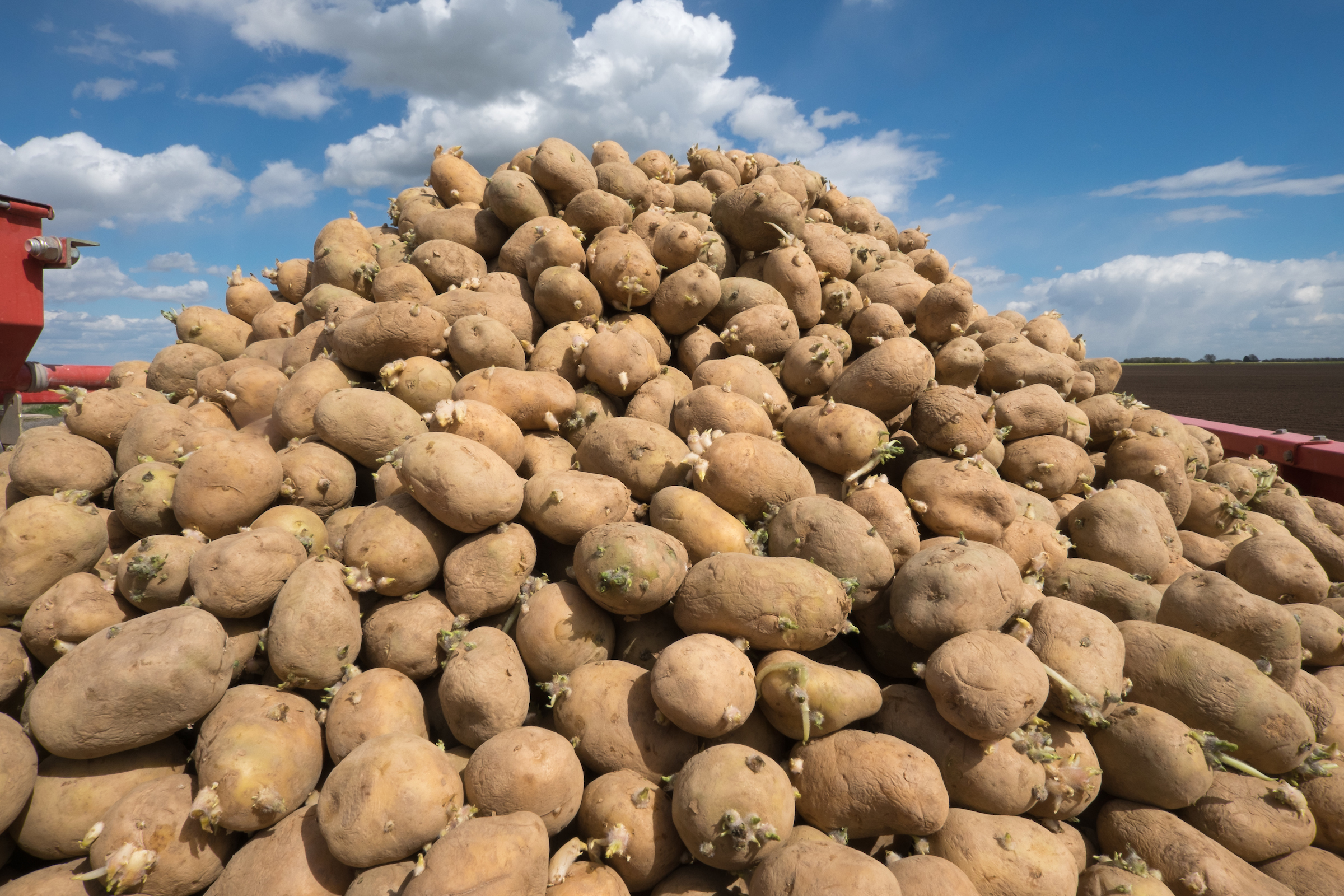 CHANGES TO SAFE HAVEN STANDARDS WILL SUPPORT LONG TERM HEALTH OF GB POTATO INDUSTRY