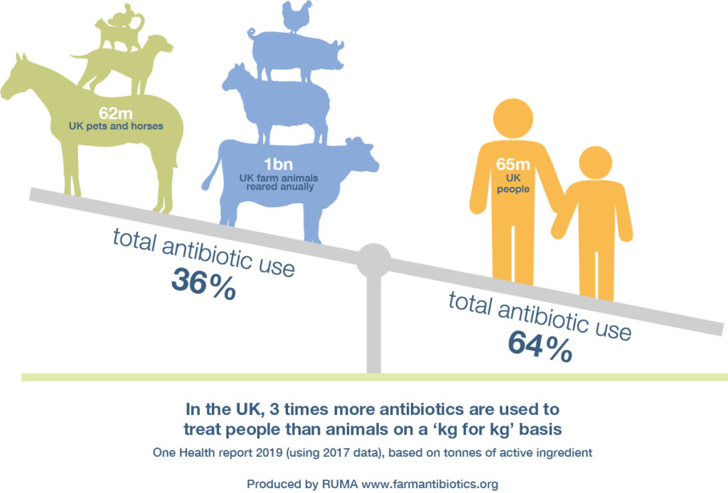 Anitbiotics use of humans compared with that of livestock and domestic animals