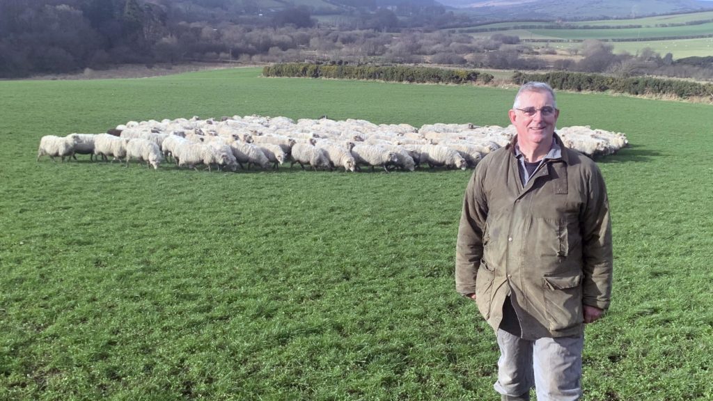 John Dracup Red Tractor beef and lamb sector board chair