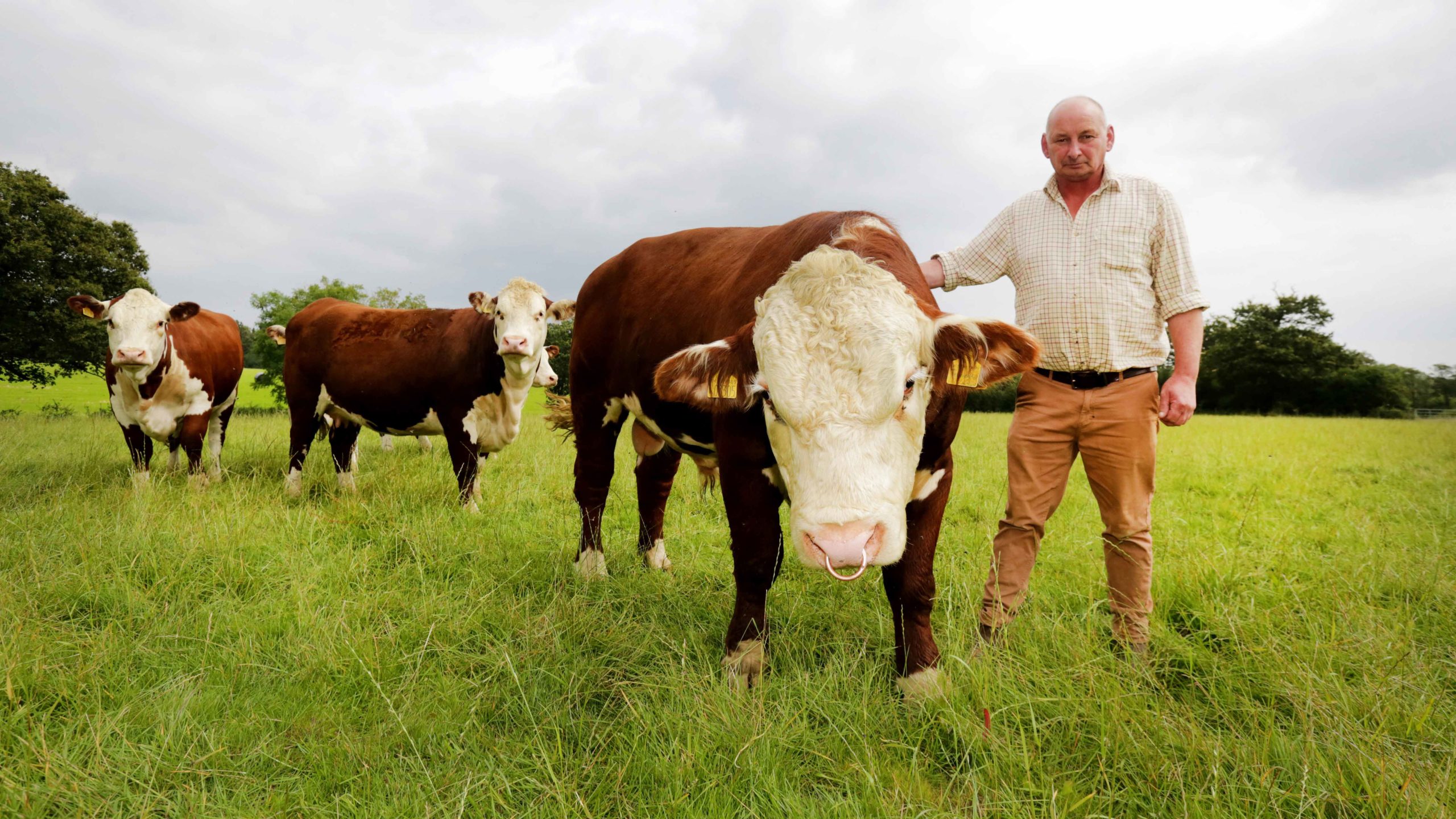 Revitalised West Sussex farm sees Red Tractor assured status as key to success
