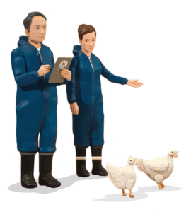 Farmers with chickens