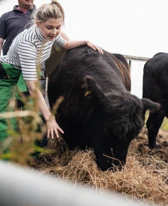 Woman with cow