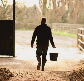 Farmer walking with a bucket