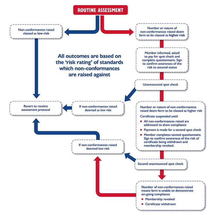 Routine assessment
