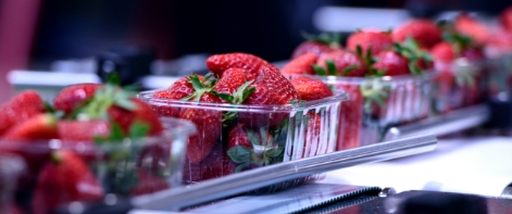 Strawberries