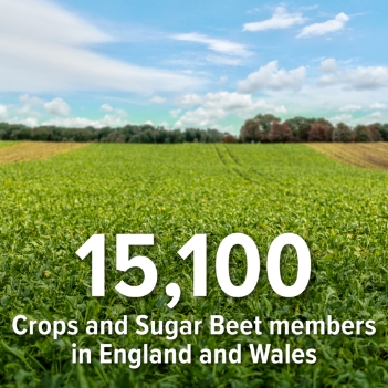 15,100 crops and sugar beet members in england and wales