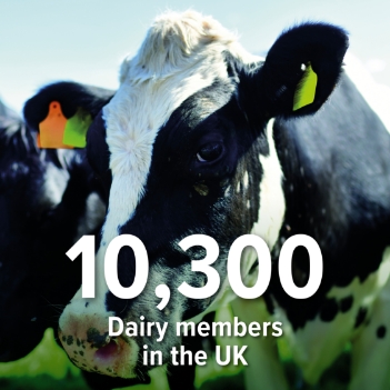 10,300 dairy members in the UK