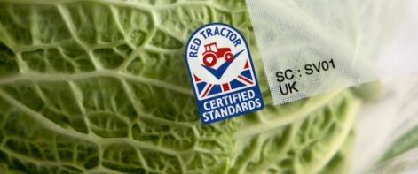 Red Tractor Cabbage
