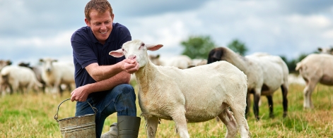 Vet with lamb