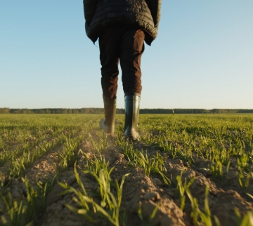 Farmer walking in a field